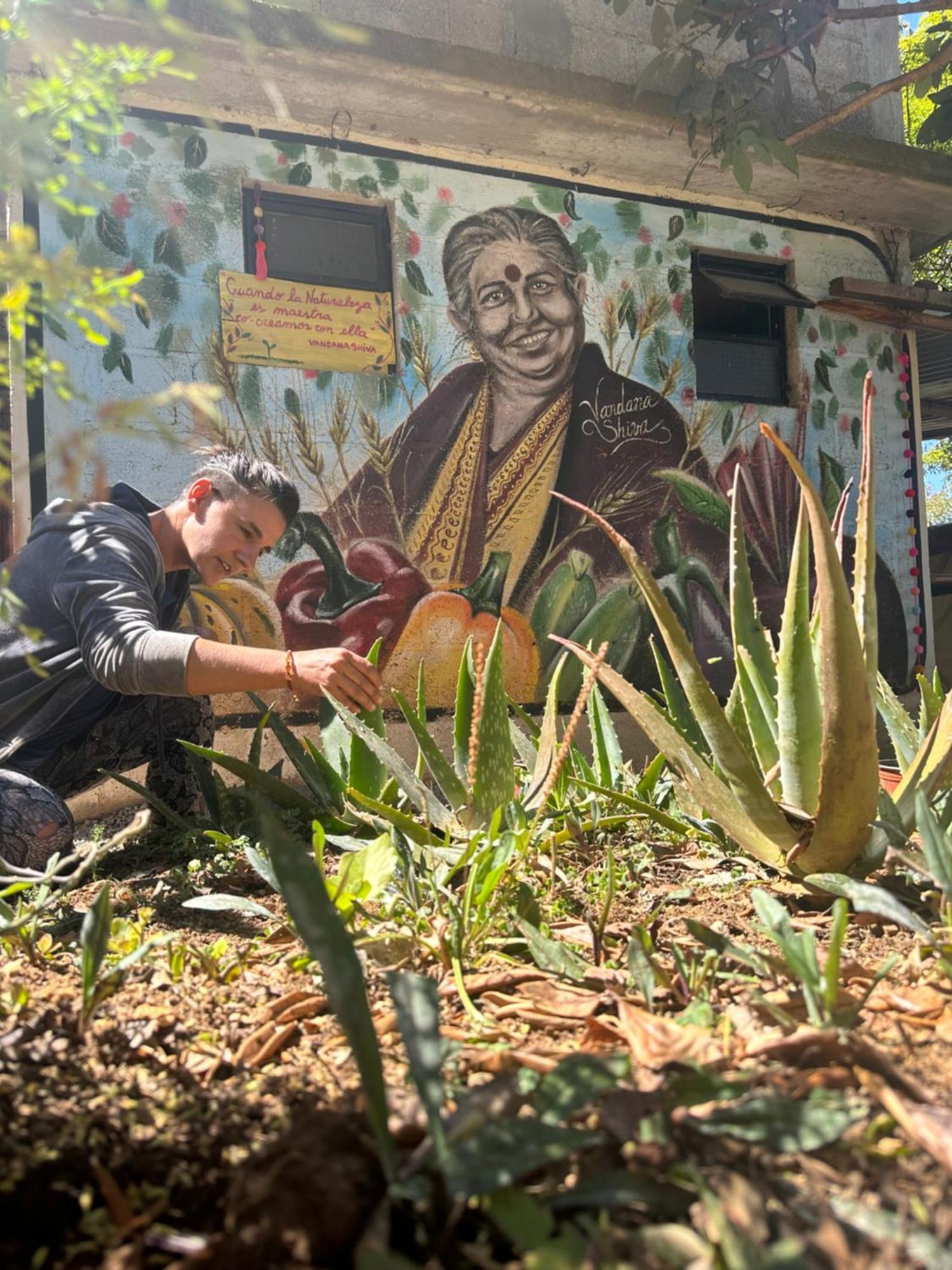 Historika Hostel Cultural San Cristóbal de Las Casas エクステリア 写真