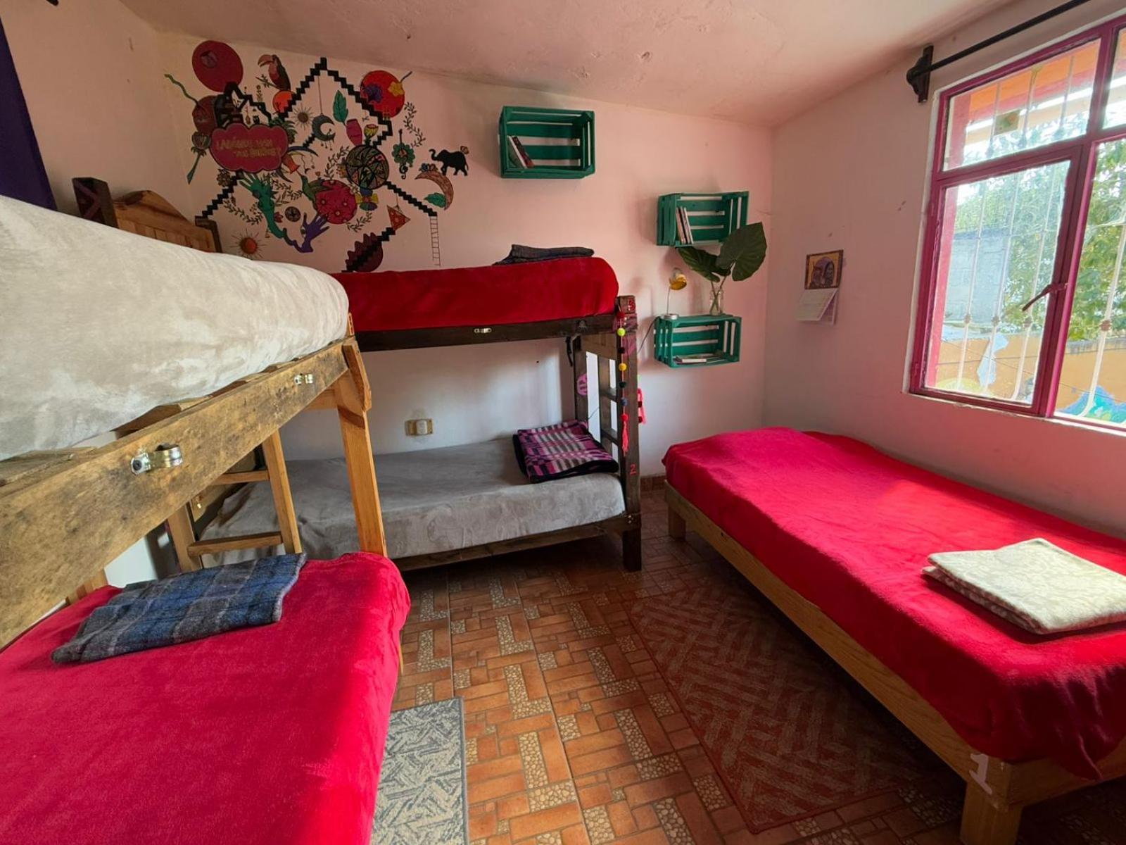 Historika Hostel Cultural San Cristóbal de Las Casas エクステリア 写真
